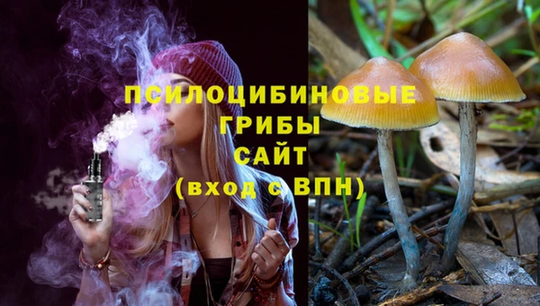 хмурый Няндома