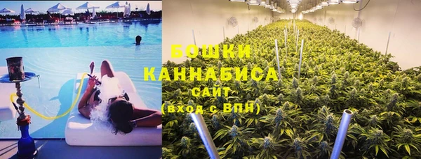 хмурый Няндома