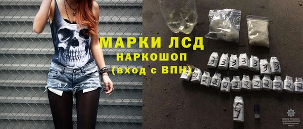 хмурый Няндома