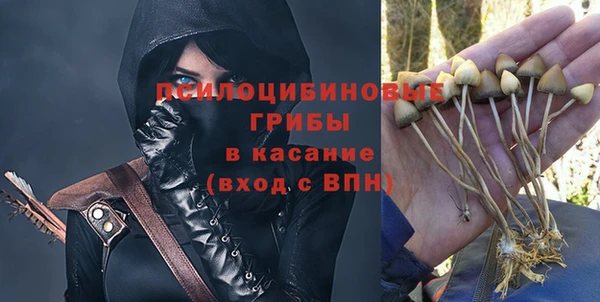 хмурый Няндома