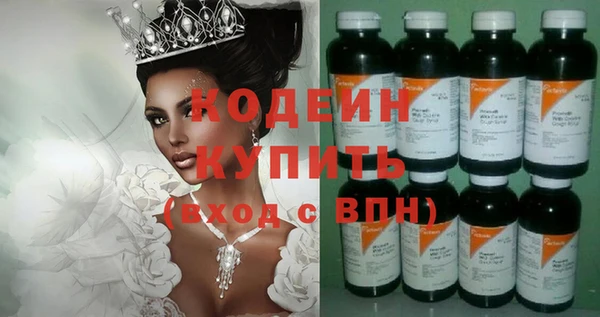 хмурый Няндома