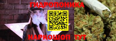 стафф Кимры