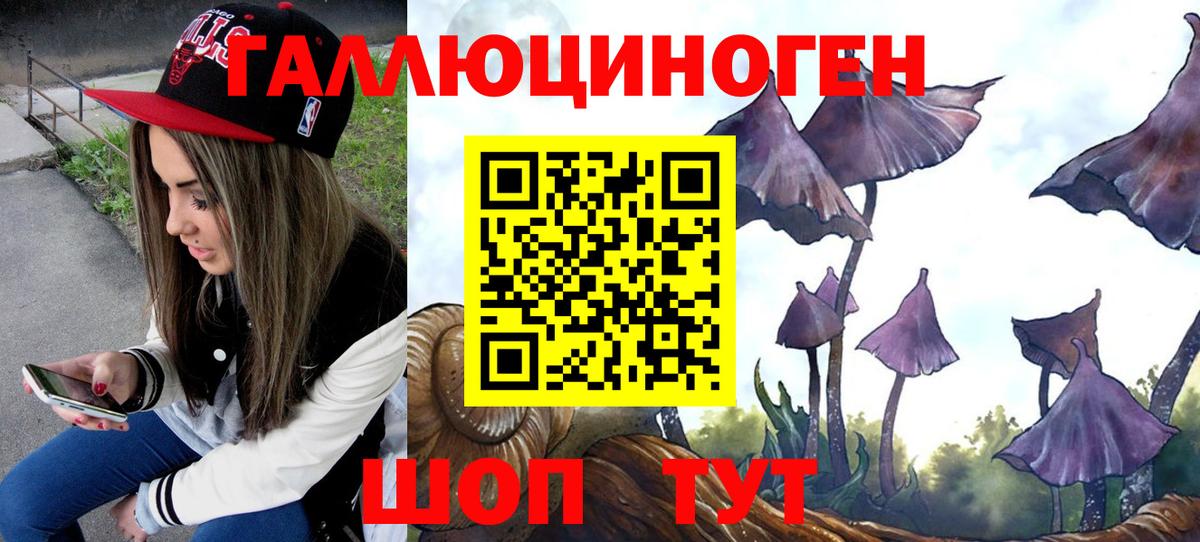 Норильск  Псилоцибиновые грибы мицелий  Вход с VPN 